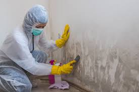 Best Emergency Mold Remediation  in Marshall, WI